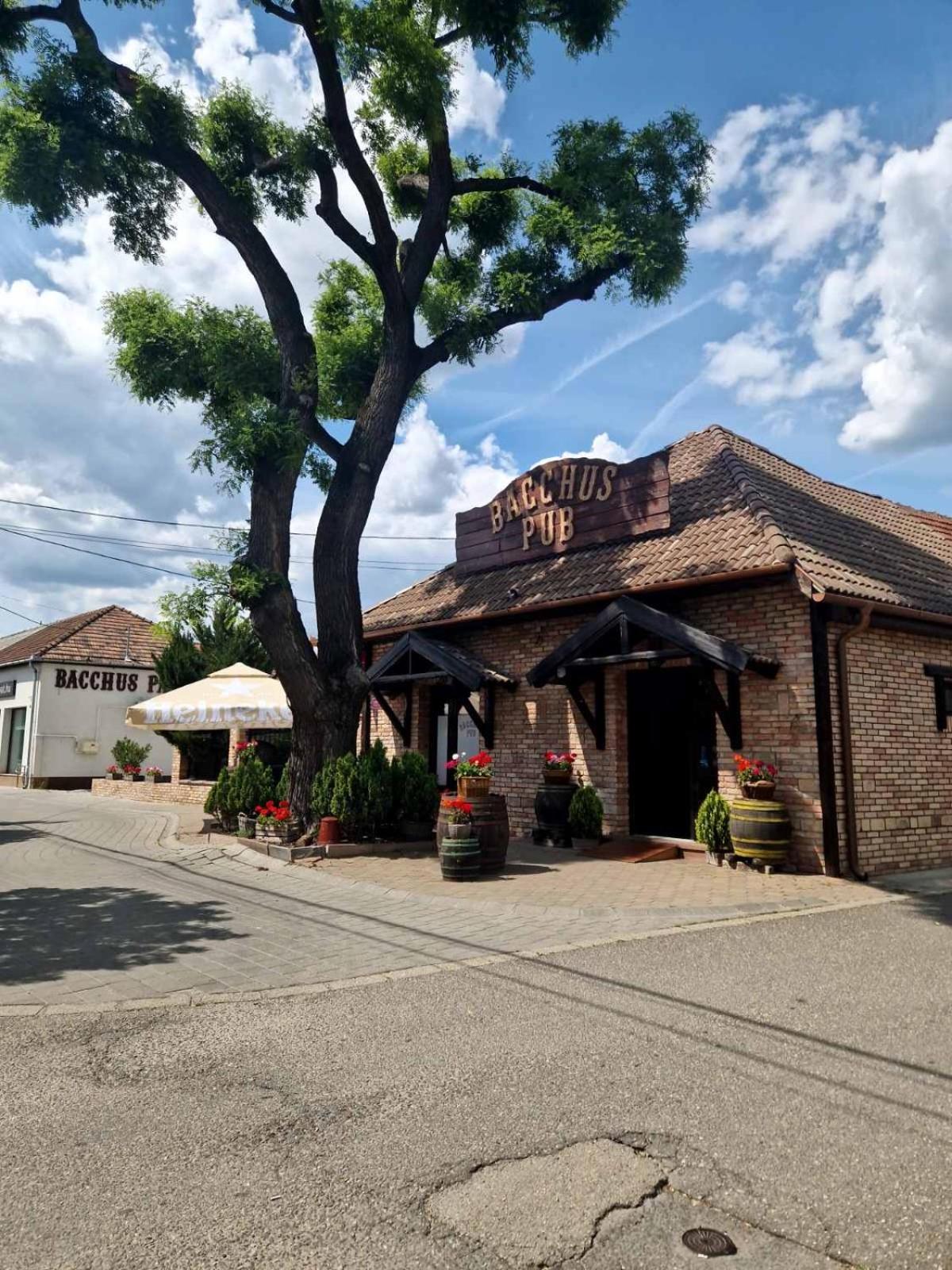 Bacchus Pub és Panzió Dunaharaszti Exterior foto